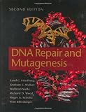 DNA Repair And Mutagenesis
