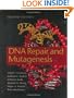 DNA Repair and Mutagenesis
