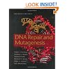 DNA Repair and Mutagenesis