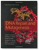 DNA Repair And Mutagenesis