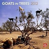 Goats in Trees 2012 Wall Calendar 12