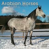 Arabian Horses 2009 Wall Calendar 12 X 12