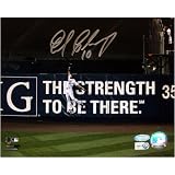Endy Chavez New York Mets - NLCS Game Robbing HR Wide Angle - Autographed 8x10 Photograph