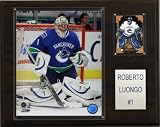 NHL Roberto Luongo Vancouver Canucks Player Plaque