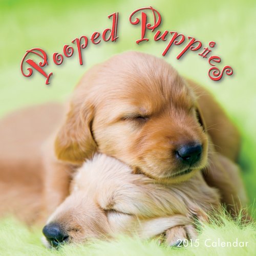 Pooped Puppies 2015 Mini Wall Calendar