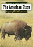 American Bison (Wildlife of North America)