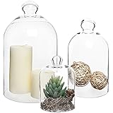 Set of 3 Decorative Clear Glass Apothecary Cloche Bell Jars / Plant Terrarium / Centerpiece Dome Display
