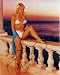Gena Lee Nolin (Baywatch) autographed 8x10 swimsuit photo