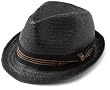 Brixton Men's Castor Straw Fedora Hat