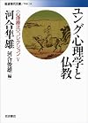 ユング心理学と仏教 (岩波現代文庫 〈心理療法〉コレクション V)