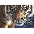 Blue Eyes Puzzle for an Evening 250 pc Jigsaw Puzzle
