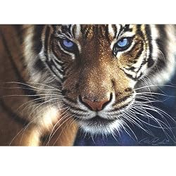 Blue Eyes Puzzle for an Evening 250 pc Jigsaw Puzzle