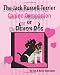 The Jack Russell Terrier Canine Companion Or Demon Dog