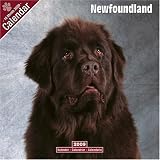 Newfoundland 2009 Wall Calendar 12 X 12