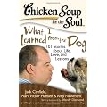 Chicken Soup for the Soul: What I Learned from the Dog: 101 Stories about Life, Love, and Lessons