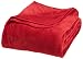 All Seasons Collection Micro Fleece Plush Solid F/Q Blanket, Crimson