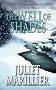 The Well of Shades (Bridei Chronicles 3)