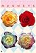 Kitchen & Housewares : Rose Flower Gift Set of 4 Magnets