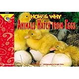 How and Why Animals Hatch from Eggs (How and Why Series)