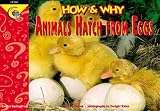 How and Why Animals Hatch from Eggs (How and Why Series)