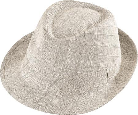Henschel Men's 6205 Hat