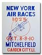 1925 New York Air Races Poster Print