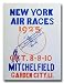 1925 New York Air Races Poster Print
