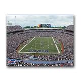 NFL Cincinnati Bengals Stadium 22x28 Canvas Art