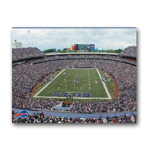 NFL Cincinnati Bengals Stadium 22x28 Canvas Art