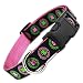 The Artful Canine Irish Dog Collar with Celtic Knots on Pink Nylon, Medium Dogs 22-35lbs (Collar: 3/4