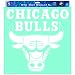 NBA Chicago Bulls 18-by-18 inch Diecut Decal