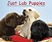 Just Lab Puppies 2010 Calendar: One Breed, Three Colors, Countless Personalities