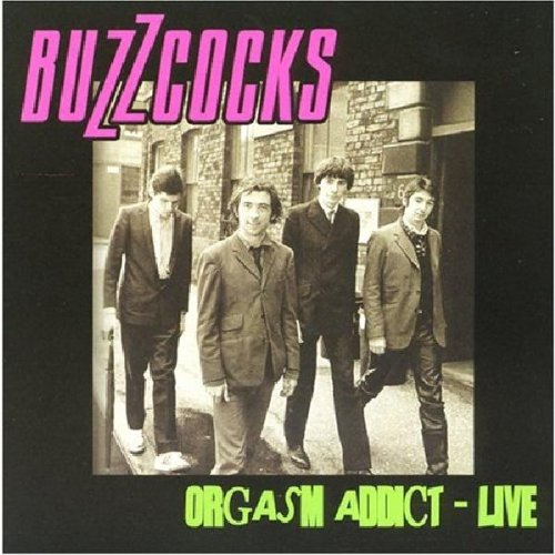 Buzzcocks Foto 15