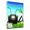 Minuscule, Folgen 39-58 - Das gro�e Wiesenspektakel