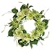 Melrose Soft Green Magnolia, Dahlia, Hydrangea Wreath, 20-Inch Diameter