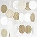 Chloe Elizabeth Circle Dots Paper Party Garland Streamer Backdrop (10 Feet Long) - White, Gold Glitter