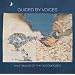 Guided by Voices - Der Kanon