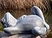 Garden ornamental Figure - Frog lying down, Cast stone, Slate gray