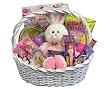 Girls Pretty in Pink Easter Bunny Gift Basket