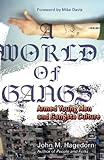 A World of Gangs: Armed Young Men and Gangsta Culture (Globalization and Community)