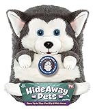 UPC 032281848040 product image for Jay At Play 15