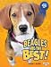 Search : Beagles Are the Best! (The Best Dogs Ever)