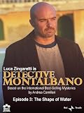 Detective Montalbano
