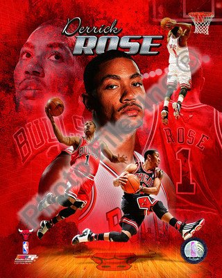 Derrick Rose - Chicago Bulls NBA 8x10 Photo (portrait)