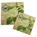 Six (6) Pack Floral Design Paper Cocktail Napkins