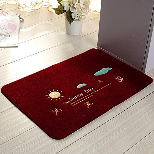 Entrance mat/Entrance mats/Kitchen bathroom mat/Water-absorbing mats-G 50x80cm(20x31inch)