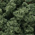 Underbrush, Medium Green