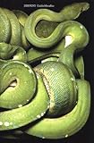 Serpens