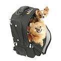 Pet Pilot Carrier - Black