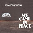 We Came in Peace [Vinyl LP]